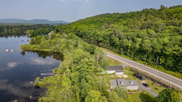 133 Lake Rd, Norway, ME 04268 - photo 41