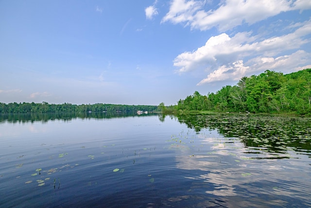 133 Lake Rd, Norway, ME 04268 - photo 59