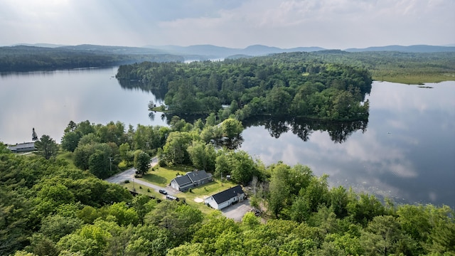 133 Lake Rd, Norway, ME 04268 - photo 60