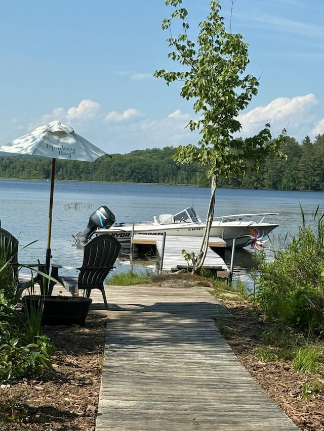 133 Lake Rd, Norway, ME 04268 - photo 1