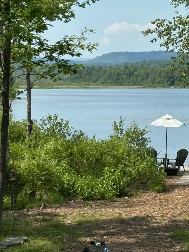 133 Lake Rd, Norway, ME 04268 - photo 52