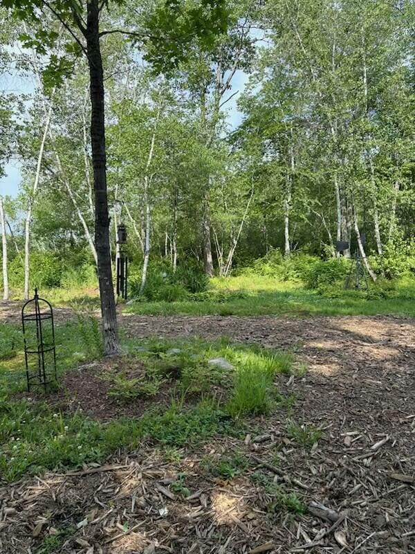 133 Lake Rd, Norway, ME 04268 - photo 54