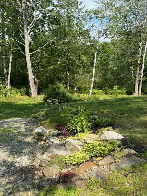 133 Lake Rd, Norway, ME 04268 - photo 53