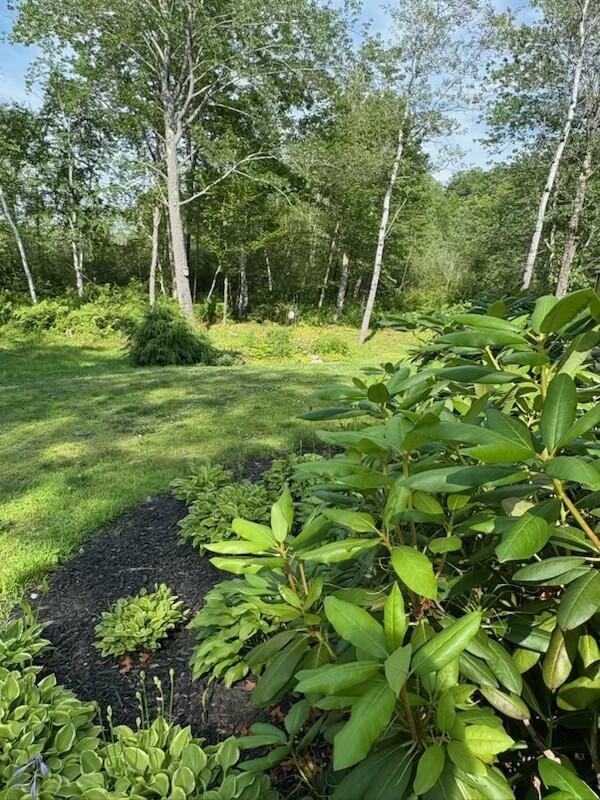 133 Lake Rd, Norway, ME 04268 - photo 51