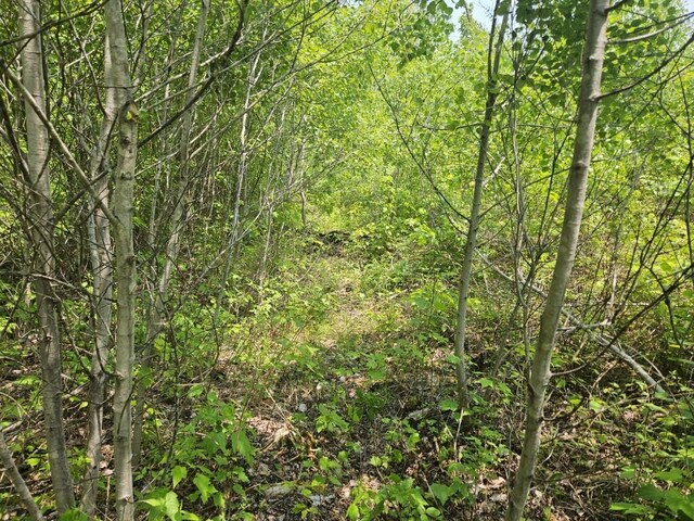 2016 Hudson Rd, Hudson, ME 04449