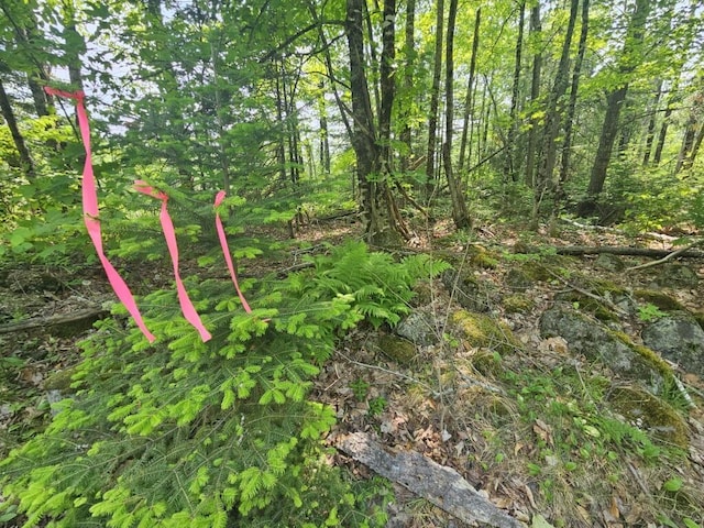 2016 Hudson Rd, Hudson, ME 04449