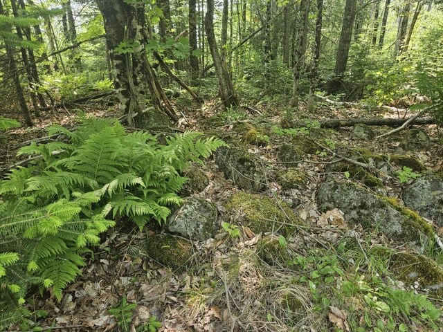 2016 Hudson Rd, Hudson, ME 04449