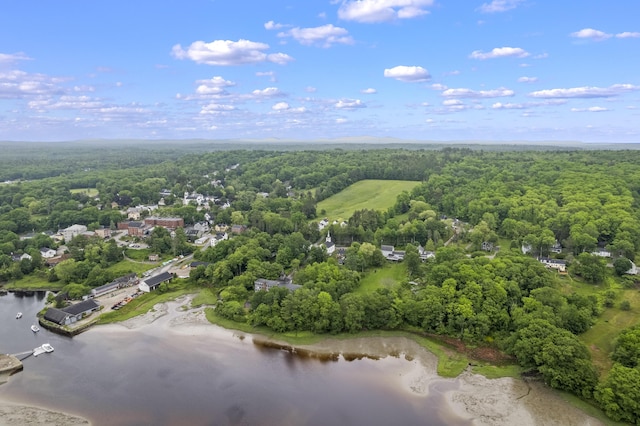 85 Friendship Rd, Waldoboro, ME 04572 - bird's eye view of a forest and a large body of water