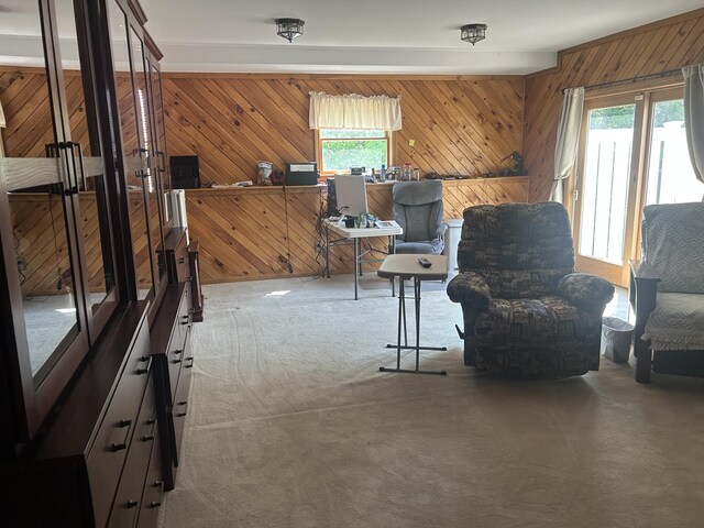 8 Camp Rd, Hartford, ME 04220 - living area featuring wooden walls and carpet floors