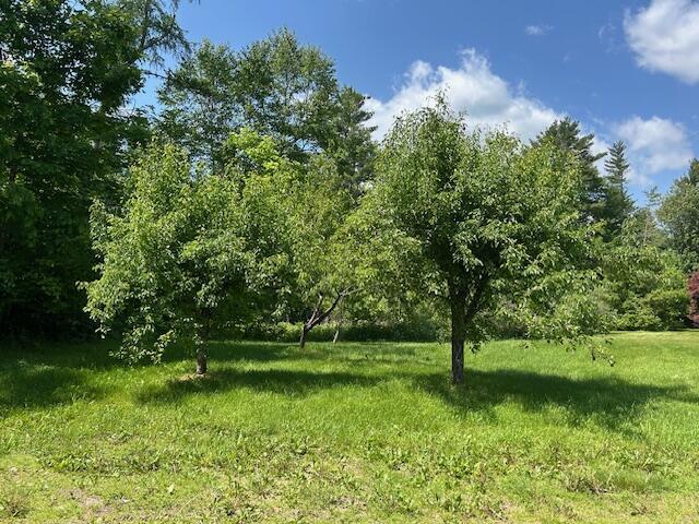 436 Valley Rd, Jackson, ME 04921 - photo 60