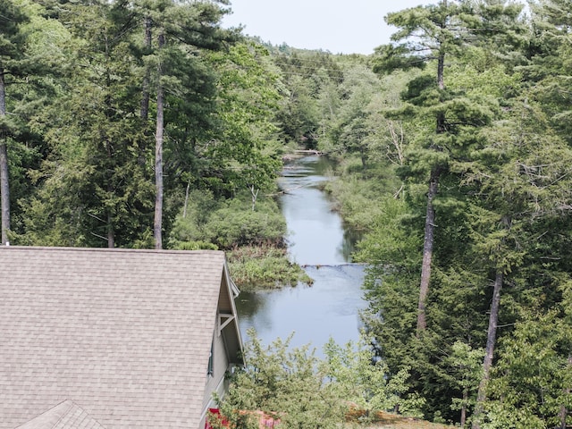 15 Brookview Dr, Bucksport, ME 04416 - water view with a heavily wooded area