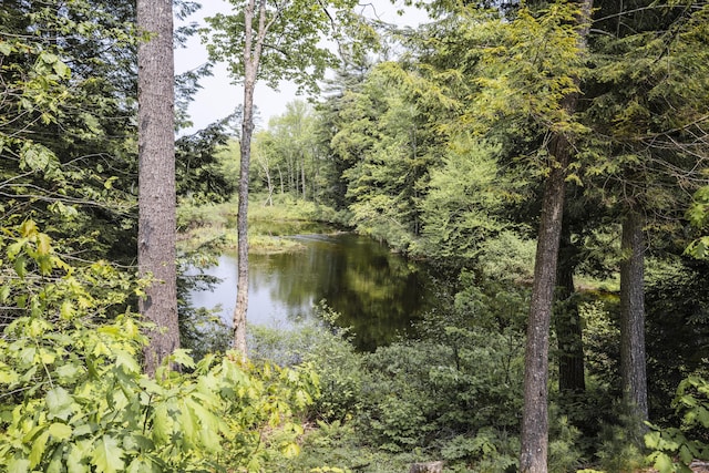 15 Brookview Dr, Bucksport, ME 04416 - water view featuring a heavily wooded area