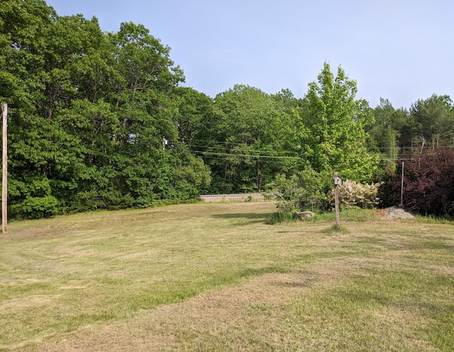 116 Point Rd, Acton, ME 04001 - view of grassy yard with a forest view
