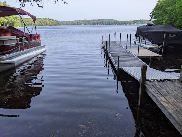 116 Point Rd, Acton, ME 04001 - dock featuring a water view and a view of trees