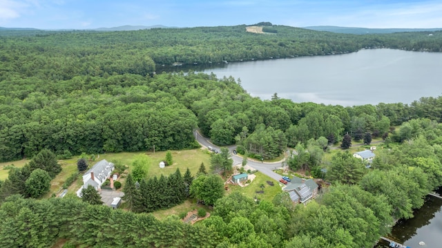 116 Point Rd, Acton, ME 04001 - view of property location featuring a forest and a nearby body of water