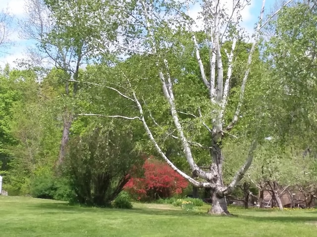 433 Hudson Rd, Corinth, ME 04427 - view of grassy yard