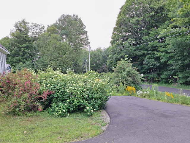 433 Hudson Rd, Corinth, ME 04427 - view of yard