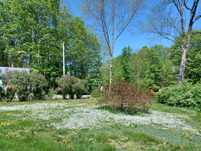 433 Hudson Rd, Corinth, ME 04427 - view of yard