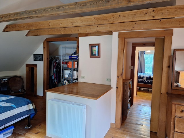 433 Hudson Rd, Corinth, ME 04427 - bedroom featuring light wood finished floors, a closet, a walk in closet, and radiator heating unit