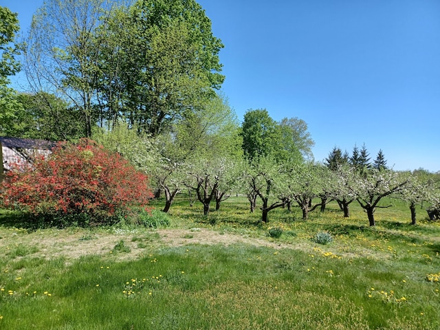 433 Hudson Rd, Corinth, ME 04427 - view of local wilderness