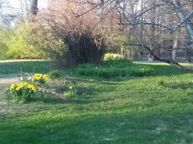 433 Hudson Rd, Corinth, ME 04427 - view of yard