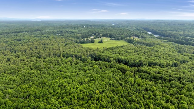 LOT44 Hanson Ln, Hollis, ME 04042 - photo 6