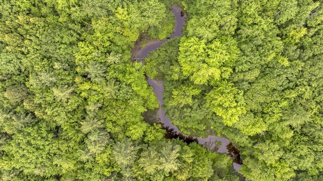 LOT44 Hanson Ln, Hollis, ME 04042 - photo 11
