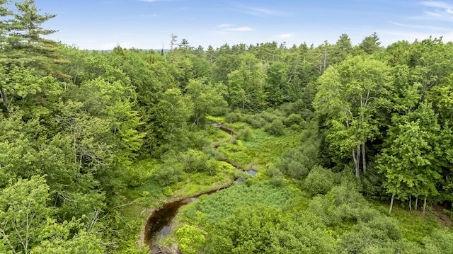 LOT44 Hanson Ln, Hollis, ME 04042 - photo 12
