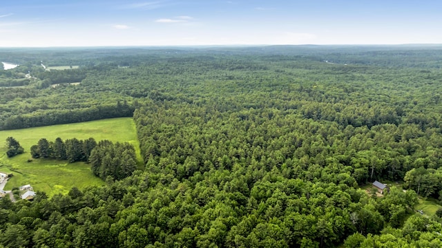 LOT44 Hanson Ln, Hollis, ME 04042 - photo 15