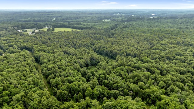 LOT44 Hanson Ln, Hollis, ME 04042 - photo 7