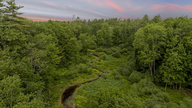 LOT44 Hanson Ln, Hollis, ME 04042 - photo 13