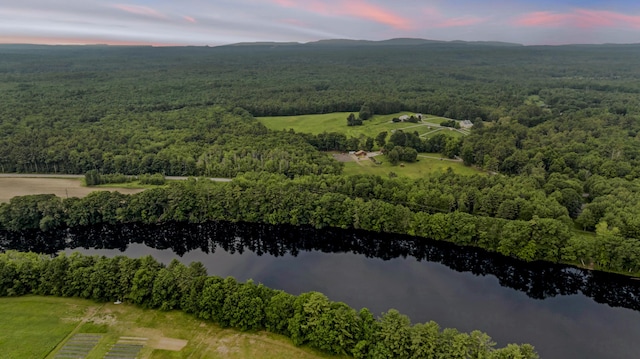 LOT44 Hanson Ln, Hollis, ME 04042 - photo 2