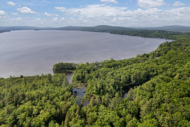 165 Meadow Ln, Smithfield, ME 04978 - photo 35