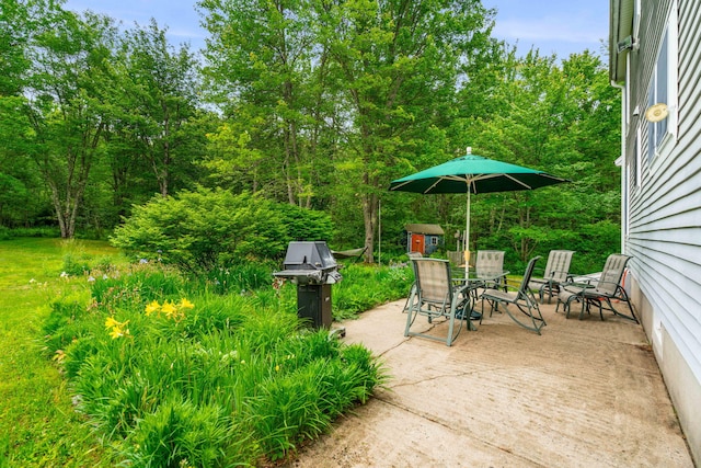 578 Little River Rd, Lebanon, ME 04027 - view of patio with area for grilling and outdoor dining space