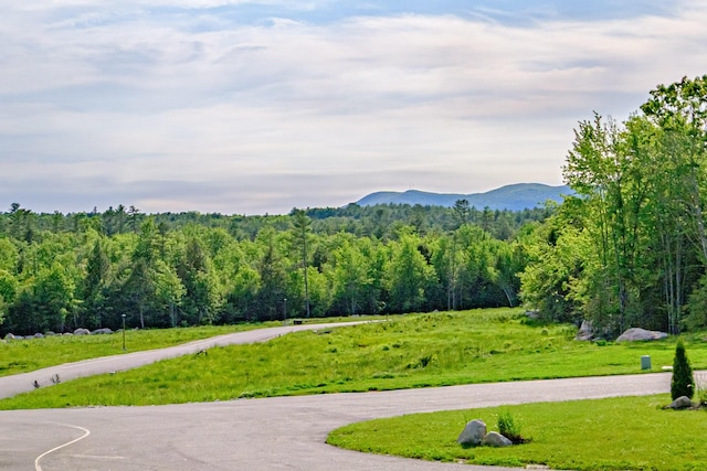 19 Efficiency Way, Bridgton, ME 04009 - mountain view featuring a heavily wooded area