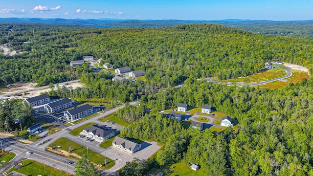 19 Efficiency Way, Bridgton, ME 04009 - aerial overview of property's location with a heavily wooded area