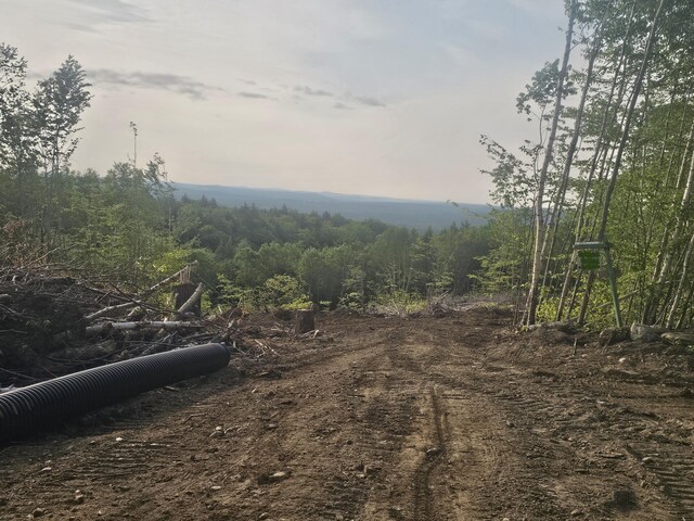 6.61 Hodgdon Hill Rd, Buckfield, ME 04220 - photo 6