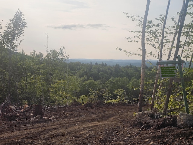 6.61 Hodgdon Hill Rd, Buckfield, ME 04220 - photo 1