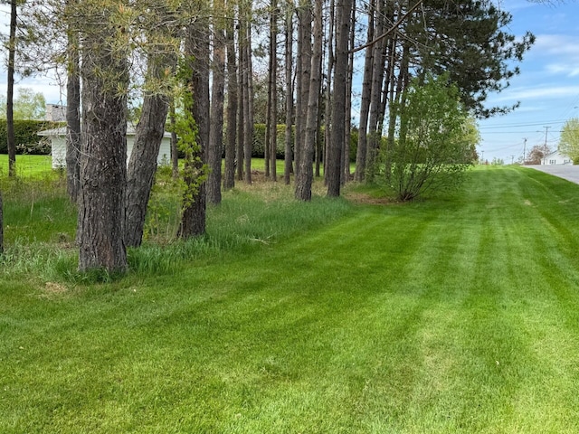 02 Rogers St, Houlton, ME 04730 - view of grassy yard