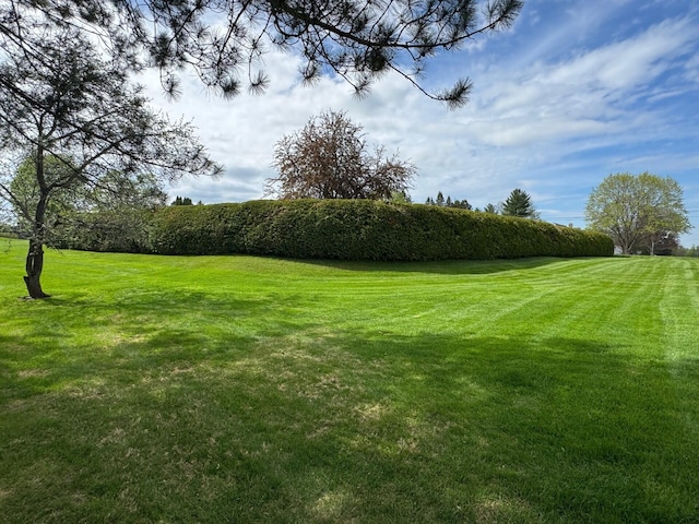 02 Rogers St, Houlton, ME 04730 - view of grassy yard