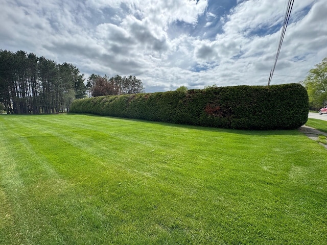 02 Rogers St, Houlton, ME 04730 - view of green lawn