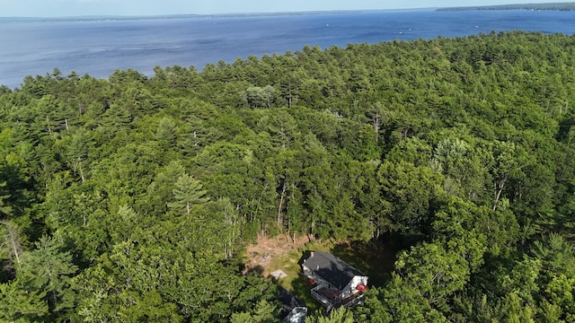 50 NW River Rd, Sebago, ME 04029 - aerial overview of property's location with a large body of water and a forest