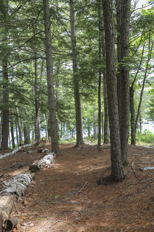 14 Quiet Way, Liberty, ME 04949 - photo 8