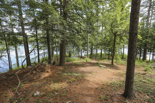 14 Quiet Way, Liberty, ME 04949 - photo 7