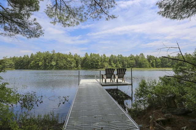 14 Quiet Way, Liberty, ME 04949 - photo 4