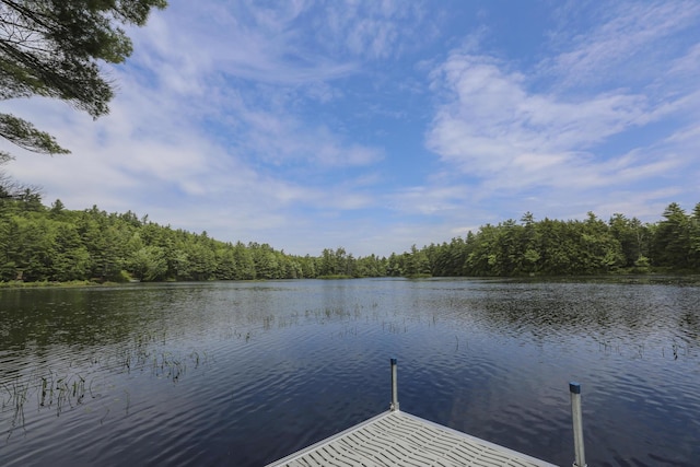 14 Quiet Way, Liberty, ME 04949 - photo 26