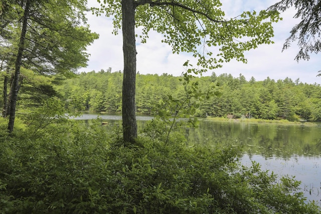 14 Quiet Way, Liberty, ME 04949 - photo 28
