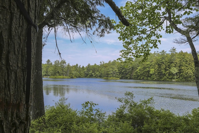 14 Quiet Way, Liberty, ME 04949 - photo 6