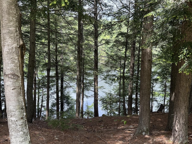 14 Quiet Way, Liberty, ME 04949 - photo 29