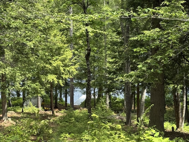 14 Quiet Way, Liberty, ME 04949 - photo 30